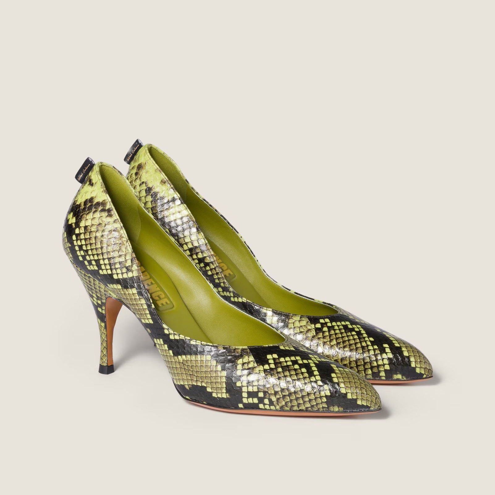 Women's Exotic Python Stiletto Pumps