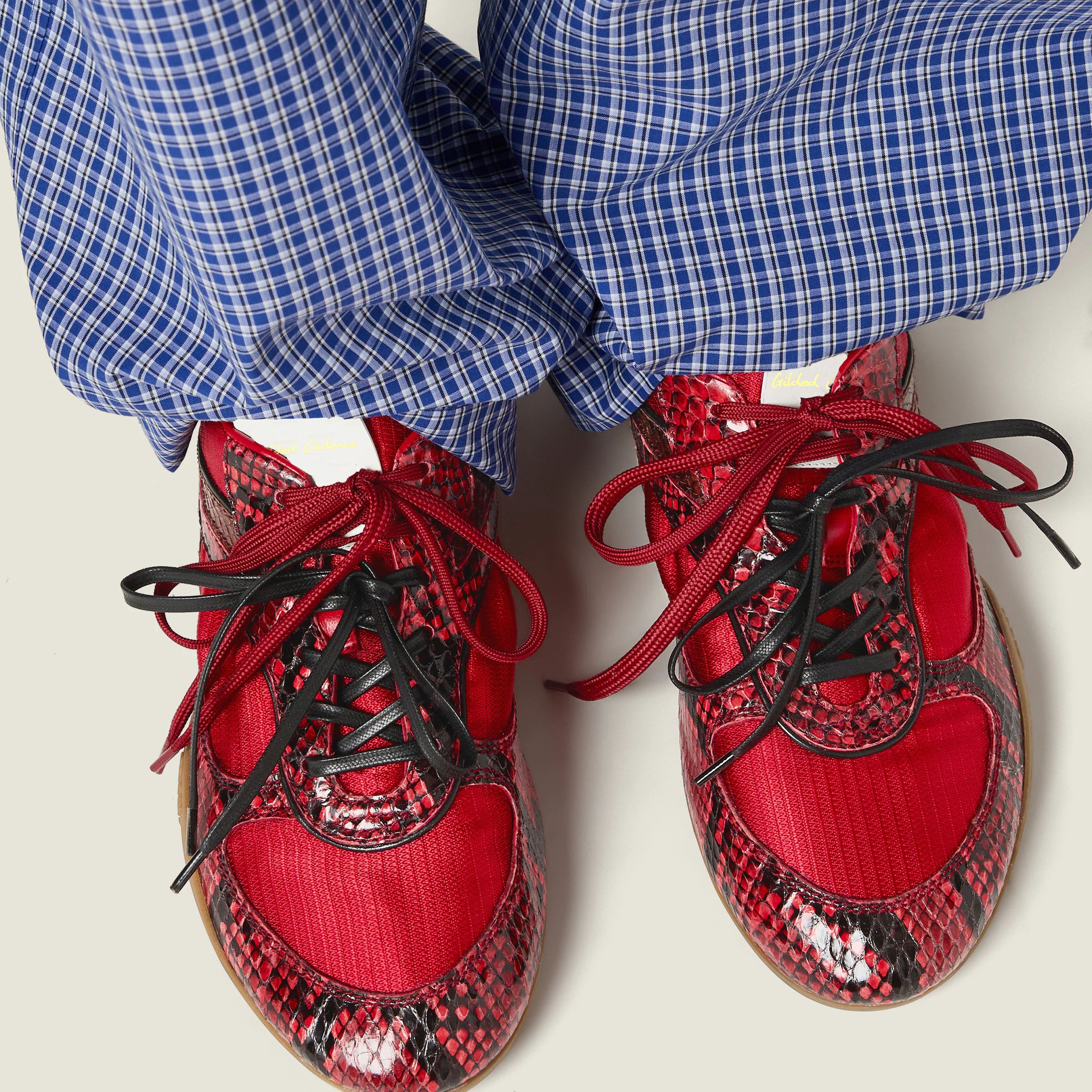 Gymnasium technical fabric and python-print Ayers leather sneakers