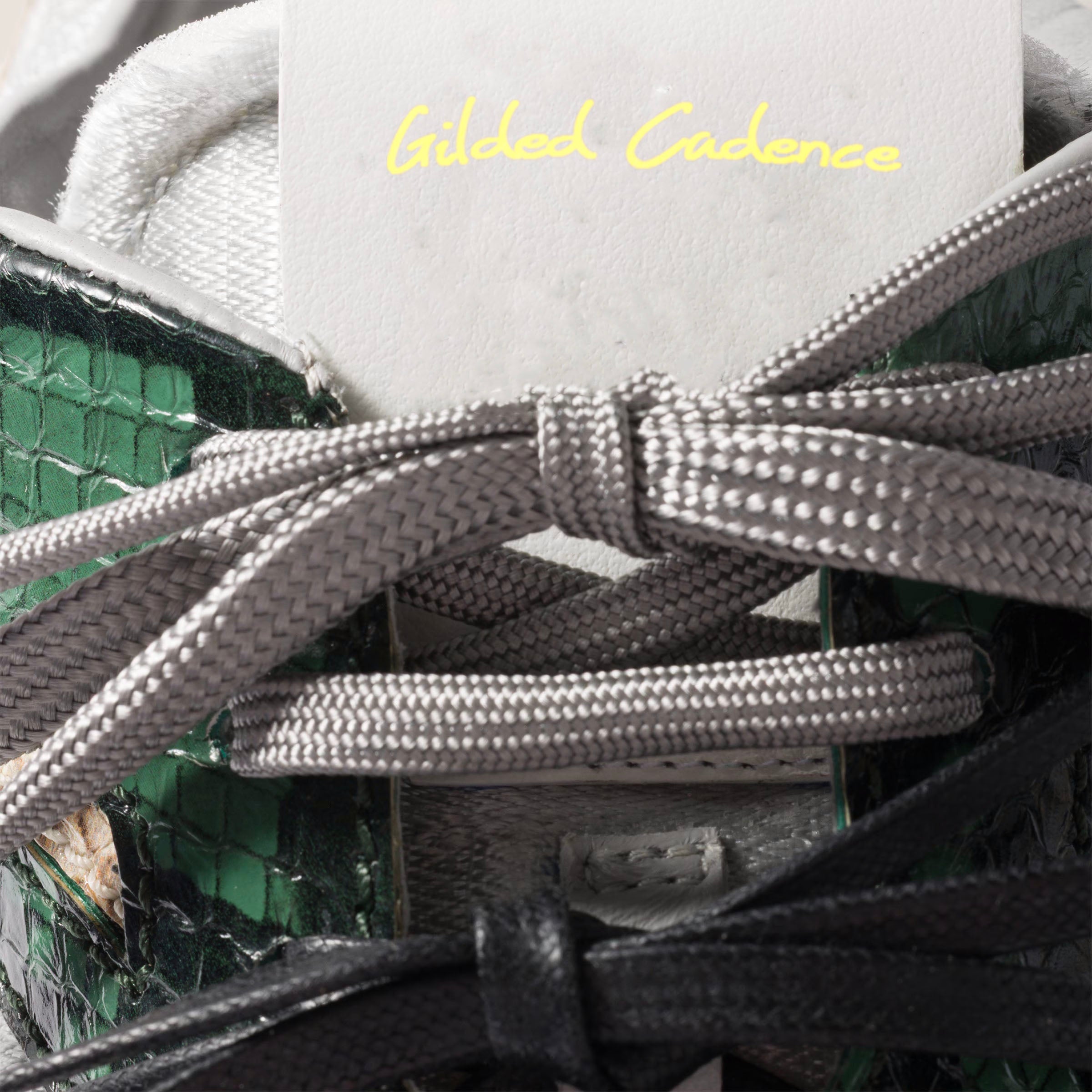 Gymnasium technical fabric and python-print Ayers leather sneakers