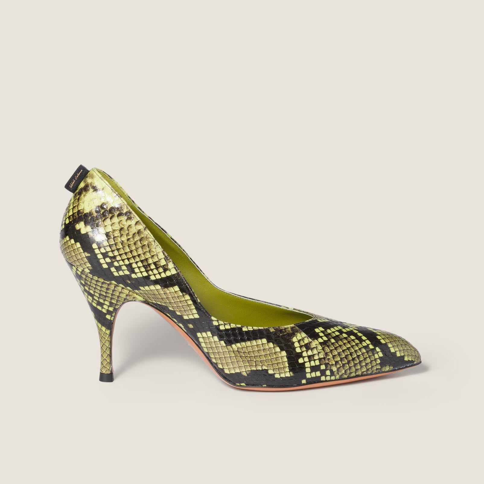 Women's Exotic Python Stiletto Pumps