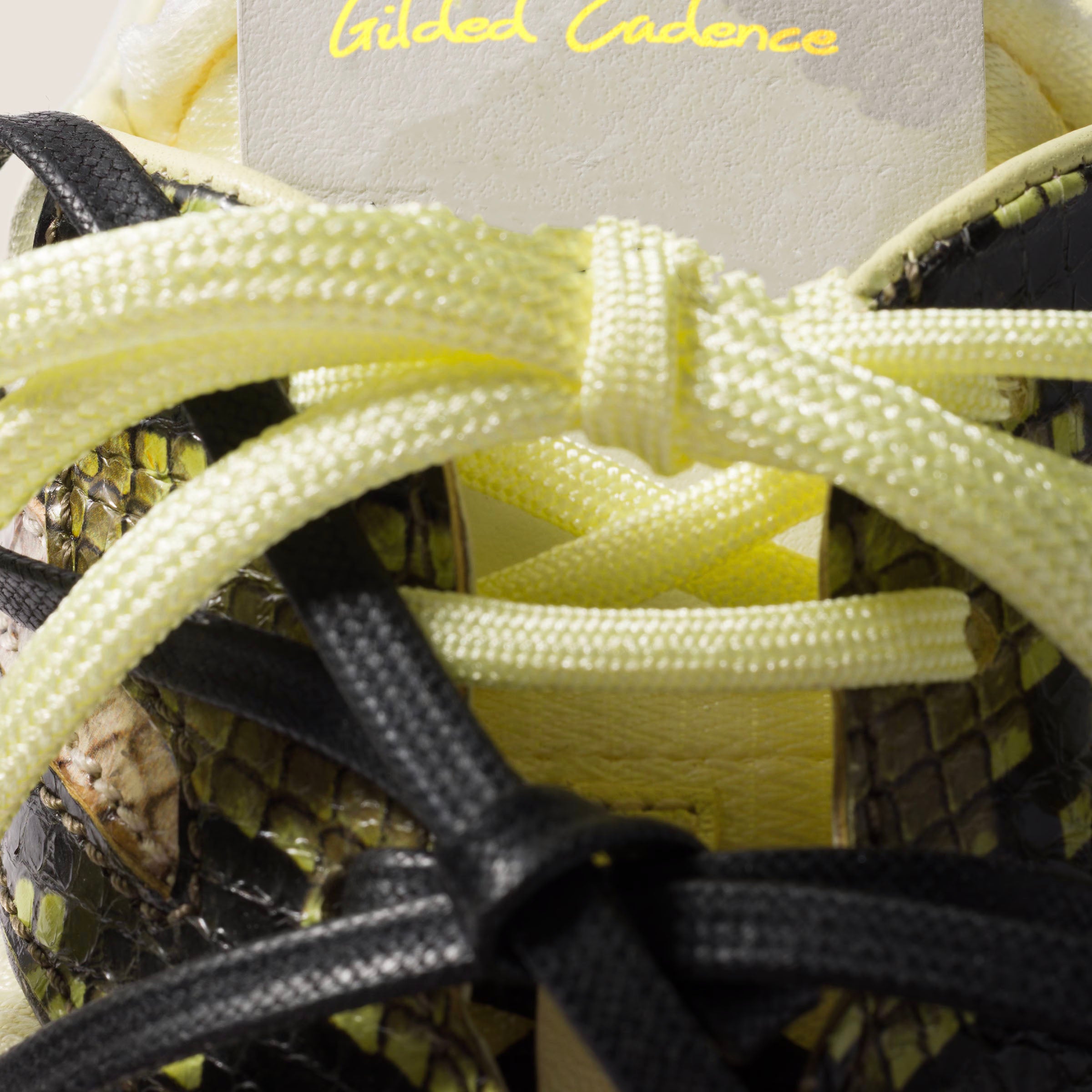 Gymnasium technical fabric and python-print Ayers leather sneakers